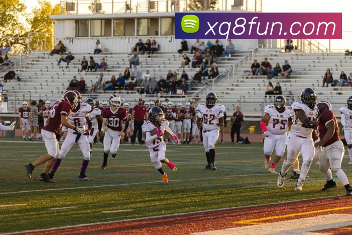 星期8娱乐城官网平台生态图