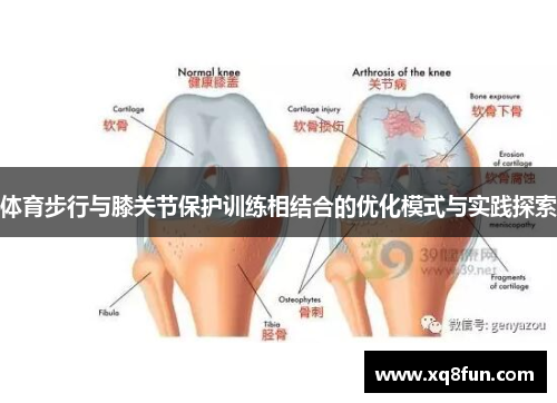 体育步行与膝关节保护训练相结合的优化模式与实践探索